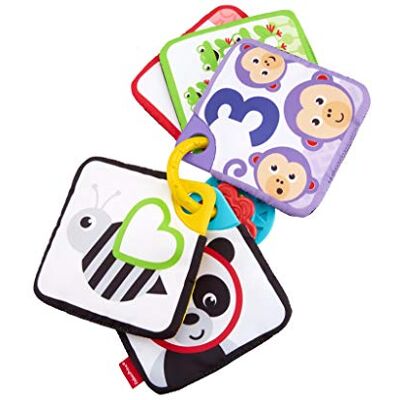 Fisher Price Mes Premières Cartes aux textures multiples, jouet bébé avec anneau, chiffres et dessins d'animaux, dès la naissance, FXB92 Fisher Price Mes Premières Cartes aux textures multiples, jouet bébé avec anneau, chiffres et dessins d'animaux, dès la naissance, FXB92