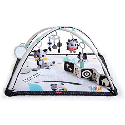Tiny Love Baby Tummy Time Play Mat, Gymini Deluxe Baby Play Mats for Floor, Magical Tales Black & White Activity Gym Tiny Love Baby Tummy Time Play Mat, Gymini Deluxe Baby Play Mats for Floor, Magical Tales Black & White Activity Gym