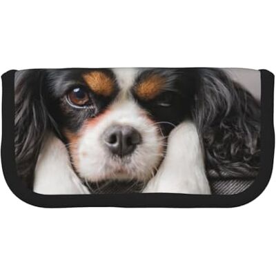 YUNWEIKEJI Trousse à crayons en toile de grande capacité Motif Cavalier King Charles Spaniel, comme sur l'image, One Size, Organiseur de sac YUNWEIKEJI Trousse à crayons en toile de grande capacité Motif Cavalier King Charles Spaniel, comme sur l'image, One Size, Organiseur de sac