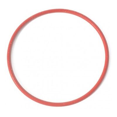 PIAGGIO Joint torique disque convertisseur Ø 48 mm pour Gilera Runner 180 Pour l'étanchéité du disque d'embrayage rigide, OEM 430585 compatible Typhoon 125 2T jusqu'à l'année 1997 PIAGGIO Joint torique disque convertisseur Ø 48 mm pour Gilera Runner 180 Pour l'étanchéité du disque d'embrayage rigide, OEM 430585 compatible Typhoon 125 2T jusqu'à l'année 1997