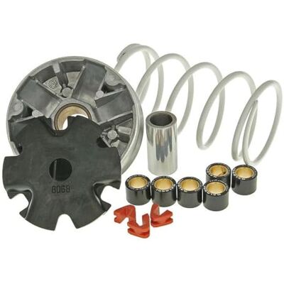 MALOSSI Variateur pour Scooter Sym 50 Orbit 5113139 Multivar Sport Neuf MALOSSI Variateur pour Scooter Sym 50 Orbit 5113139 Multivar Sport Neuf