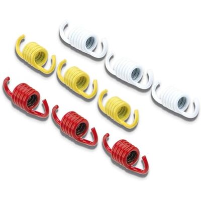 MALOSSI Ressorts d'embrayage pour Moteurs 4 Temps Honda, Piaggio, Yamaha Piaggio Leader/Quasar 125-300Cc Kits de ressorts pour embrayages série 3 mâchoires, OEM 2911326 compatibles Piaggio Typhoon 125 2T jusqu'en 1997 MALOSSI Ressorts d'embrayage pour Moteurs 4 Temps Honda, Piaggio, Yamaha Piaggio Leader/Quasar 125-300Cc Kits de ressorts pour embrayages série 3 mâchoires, OEM 2911326 compatibles Piaggio Typhoon 125 2T jusqu'en 1997