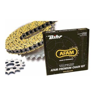 AFAM Compatible avec/Remplacement pour SKYTEAM PRO 125 SKYMAX 14/16 KIT CHAINE 15/32 / 3027267 AFAM Compatible avec/Remplacement pour SKYTEAM PRO 125 SKYMAX 14/16 KIT CHAINE 15/32 / 3027267