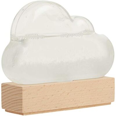 Chronicle Books Storm Cloud: A Weather Predicting Instrument Chronicle Books Storm Cloud: A Weather Predicting Instrument