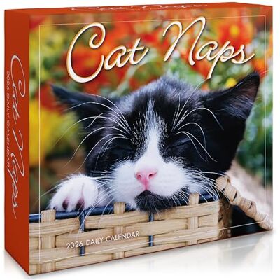 SELLERS PUBLISHING, INC. Calendrier de bureau 2026 Cat Naps SELLERS PUBLISHING, INC. Calendrier de bureau 2026 Cat Naps