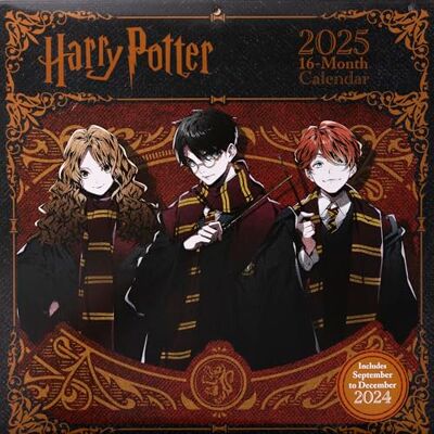 Calendario 30x30 harry potter 2025 pyramid Calendario 30x30 harry potter 2025 pyramid