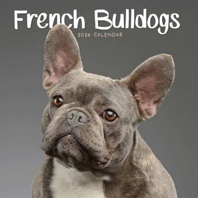 Carousel Calendars Carousel Worldwide, Mini calendrier mural 2026 Bulldogs français Carousel Calendars Carousel Worldwide, Mini calendrier mural 2026 Bulldogs français
