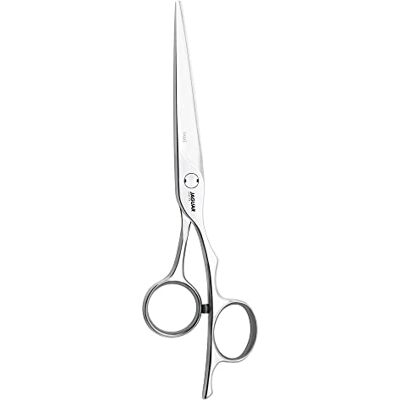 JAGUAR Ciseaux de coiffeur Silver Line Fame 5,5 JAGUAR Ciseaux de coiffeur Silver Line Fame 5,5