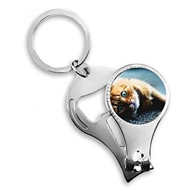 BeatChong Animal Bleu Pur des Yeux de Chat Photo-clé Anneau Toe Nail Clipper Cutter Ciseaux Outil Bouteille Kit ouvreur Cadeau Bleu BeatChong Animal Bleu Pur des Yeux de Chat Photo-clé Anneau Toe Nail Clipper Cutter Ciseaux Outil Bouteille Kit ouvreur Cadeau Bleu