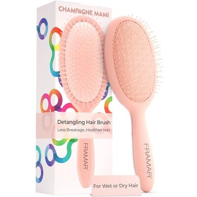 FRAMAR Champagne Haarborstel Zonder Trekken – Haarborstels Voor Lang Haar, Damesborstel, Nat Haar Borstel, Ontwarborstel, Detangler, Krulborstel, Anti-Trek, Brosse à cheveux, démêlante efficace, réduit la casse des cheveux et les frisottis – Champagne FRAMAR Champagne Haarborstel Zonder Trekken – Haarborstels Voor Lang Haar, Damesborstel, Nat Haar Borstel, Ontwarborstel, Detangler, Krulborstel, Anti-Trek, Brosse à cheveux, démêlante efficace, réduit la casse des cheveux et les frisottis – Champagne
