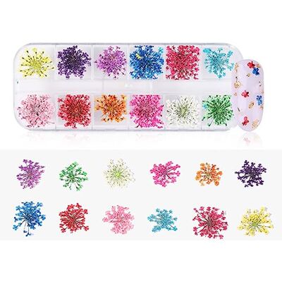 Raguso 12 couleurs ongles naturels fleurs sèches décor manucure tournesol autocollant décoration des ongles Art bricolage outil fournitures(A) d¨¦coration quotidienne Raguso 12 couleurs ongles naturels fleurs sèches décor manucure tournesol autocollant décoration des ongles Art bricolage outil fournitures(A) d¨¦coration quotidienne