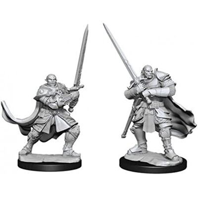 WizKids D&D Nolzur's Merveilleuses miniatures non peintes : Paladin demi-orque mâle (vague 15) WizKids D&D Nolzur's Merveilleuses miniatures non peintes : Paladin demi-orque mâle (vague 15)