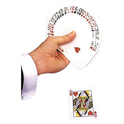 Bicycle Jeu de 54 cartes Magie : Double Face Bicycle Jeu de 54 cartes Magie : Double Face