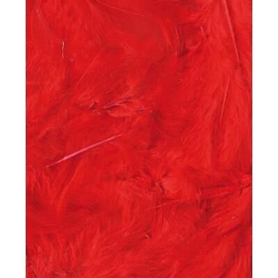 Artémio Plumes - Rouge - Sachet de 3 g - Ébouriffées - Lg 8 à 12 cm Rouge Artémio Plumes - Rouge - Sachet de 3 g - Ébouriffées - Lg 8 à 12 cm Rouge
