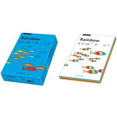 SCHNEIDERSOHNE PAPYRUS - papier universel "Rainbow" , A4, gris, 80g, 500F SCHNEIDERSOHNE PAPYRUS - papier universel "Rainbow" , A4, gris, 80g, 500F