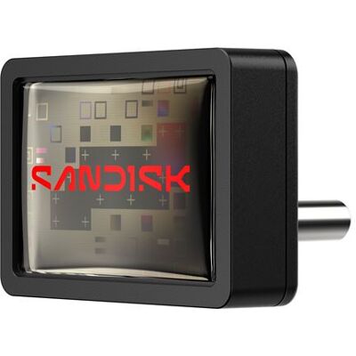 Clé USB SanDisk Extreme Fit Type C 256 Go Noir Clé USB SanDisk Extreme Fit Type C 256 Go Noir