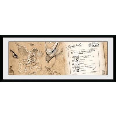Affiche Fantastic Beasts Thunderbird 30x75 cm Affiche Fantastic Beasts Thunderbird 30x75 cm