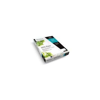Protège matelas et alèse Biotex Naia 160 x 200 cm Protège matelas et alèse Biotex Naia 160 x 200 cm