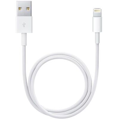 Câble Lightning vers USB Apple 0,5m Blanc Blanc Câble Lightning vers USB Apple 0,5m Blanc Blanc