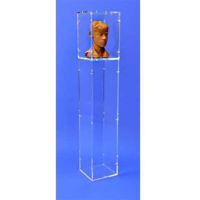 Form XL Vitrine plexi sur socle Transparent Form XL Vitrine plexi sur socle Transparent