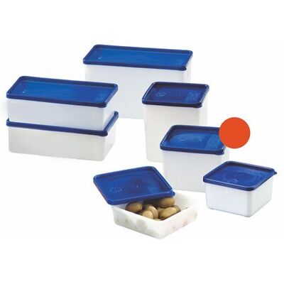 Conteneur Congélateur WESTMARK 0,75L Bleu/Blanc - Conteneur Congélateur Conteneur Congélateur WESTMARK 0,75L Bleu/Blanc - Conteneur Congélateur