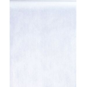 SANTEX 5696-1-30, Chemin de table en intissé 25 METRES, Blanc Blanc SANTEX 5696-1-30, Chemin de table en intissé 25 METRES, Blanc Blanc