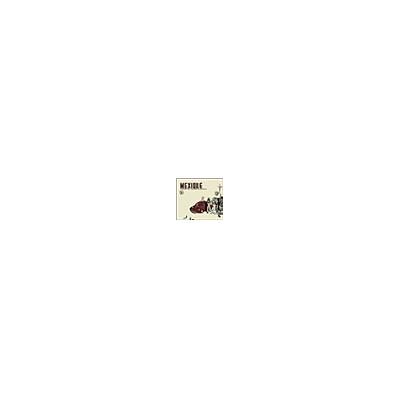 Arion Carnet de voyage musical - Mexique Arion Carnet de voyage musical - Mexique