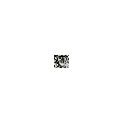 Arion Musique de chambre Arion Musique de chambre