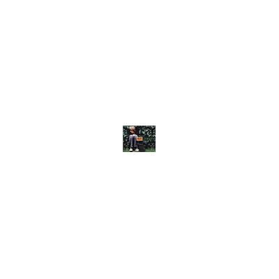 Polydor Dick Annegarn Polydor Dick Annegarn