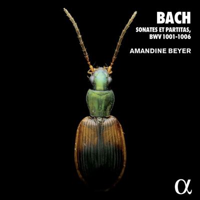 Alpha Sonates et partitas BWV 1001-1006 Alpha Sonates et partitas BWV 1001-1006