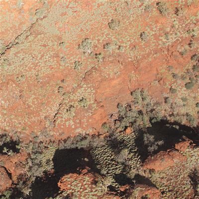 Kuroneko Media Cnt Tropic Of Capricorn Vinyle Orange Kuroneko Media Cnt Tropic Of Capricorn Vinyle Orange