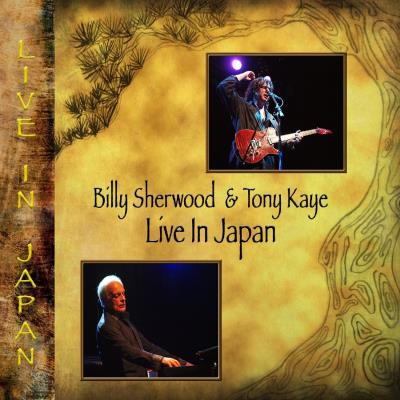 Strummer International Litd Live in Japan Inclus DVD bonus Strummer International Litd Live in Japan Inclus DVD bonus