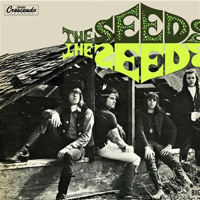 ACE The Seeds ACE The Seeds