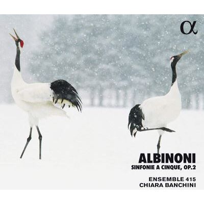 Alpha Sinfonie A Cinque Opus 2 Alpha Sinfonie A Cinque Opus 2