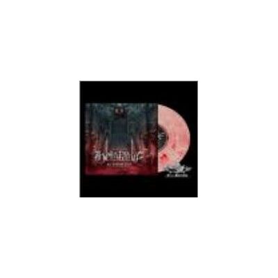 Import03 An Endless Path Vinyle Rose Import03 An Endless Path Vinyle Rose