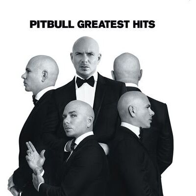 Sony Music Ent France Sas Greatest Hits Vinyle Noir et Argent Sony Music Ent France Sas Greatest Hits Vinyle Noir et Argent