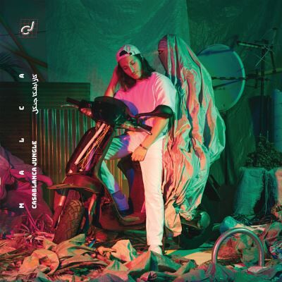 Arista Casablanca jungle ep Arista Casablanca jungle ep