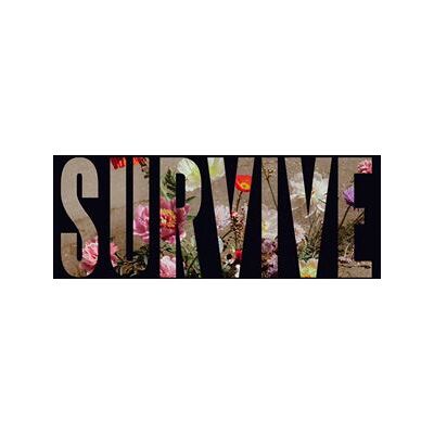 Polydor Survive EP Vinyle Coloré Polydor Survive EP Vinyle Coloré