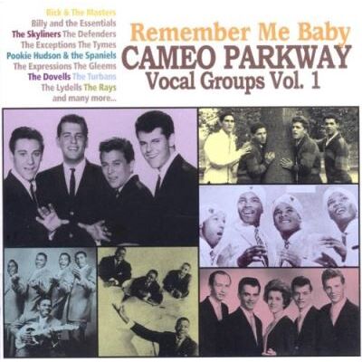 ACE Remember me baby/cameo parkway vocal groups vol 1 ACE Remember me baby/cameo parkway vocal groups vol 1