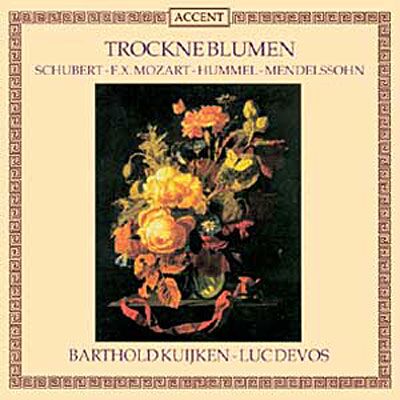 Accent Trockne blumen Accent Trockne blumen
