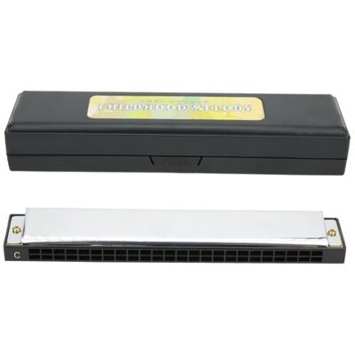 Générique Harmonica Professionnel en Do Plaque de Couverture en Acier Inoxydable 24 Trous - Noir Générique Harmonica Professionnel en Do Plaque de Couverture en Acier Inoxydable 24 Trous - Noir