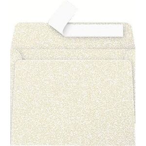 Paquet de 20 enveloppes Pollen 90x140mm FT30 Ivoire Irisé 120g Ivoire Paquet de 20 enveloppes Pollen 90x140mm FT30 Ivoire Irisé 120g Ivoire