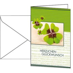 Sigel Design Folding Cards DS004 Fortune - Brillant - 170 x 230 mm - 220 g/m² - 10 carte(s) cartes de voeux + enveloppes Sigel Design Folding Cards DS004 Fortune - Brillant - 170 x 230 mm - 220 g/m² - 10 carte(s) cartes de voeux + enveloppes