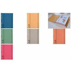 Elba - intercalaires avec perforation, format a4 extra large, orange, en carton manila, 250 g m2, lignes 1-10 imprimées ennoir, Elba - intercalaires avec perforation, format a4 extra large, orange, en carton manila, 250 g m2, lignes 1-10 imprimées ennoir,