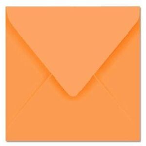 Paquet de 20 enveloppes Pollen 140x140mm Clémentine 120g Orange Paquet de 20 enveloppes Pollen 140x140mm Clémentine 120g Orange