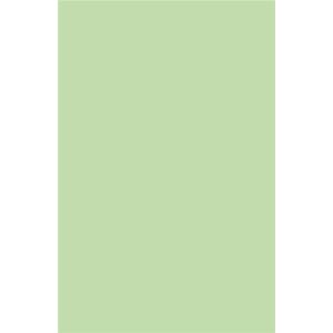 Paquet de 20 enveloppes Pollen 110x220mm DL Vert 120g Vert Paquet de 20 enveloppes Pollen 110x220mm DL Vert 120g Vert