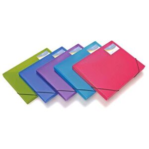 Rapesco Pqt de 5 Porte-Documents A4 25mm Couleurs Vives Transparentes Rapesco Pqt de 5 Porte-Documents A4 25mm Couleurs Vives Transparentes