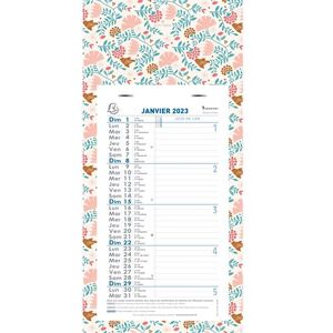 Calendrier mensuel Exacompta Mini Labo 2026 16 x 33 cm Modèle aléatoire Multicolore Calendrier mensuel Exacompta Mini Labo 2026 16 x 33 cm Modèle aléatoire Multicolore