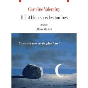 Albin Michel Il fait bleu sous les tombes Albin Michel Il fait bleu sous les tombes