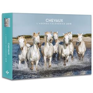 Hugo Image L'agenda-calendrier Chevaux 2018 Hugo Image L'agenda-calendrier Chevaux 2018
